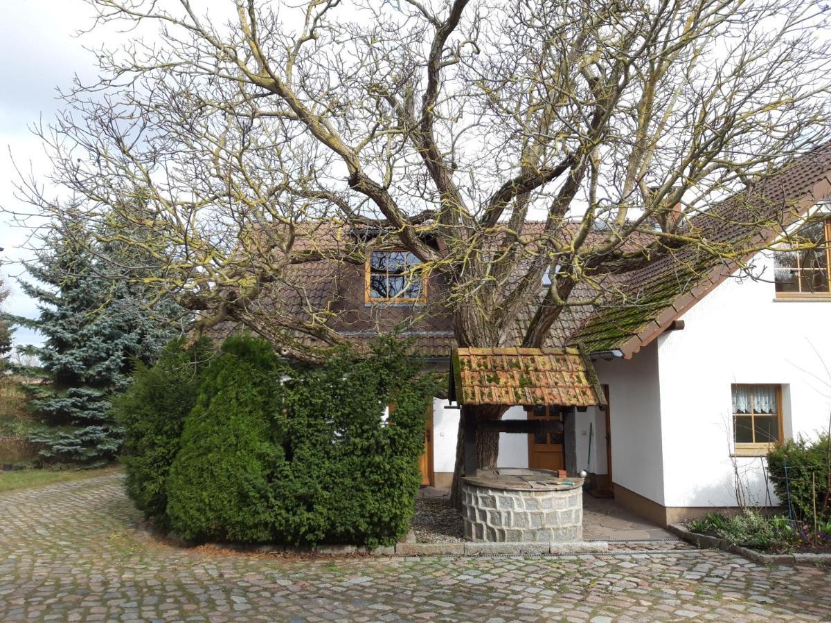 Ein Bett Im Kornfeld - Haus Morgensonne - Mit Innenpool Schonfeld  Extérieur photo