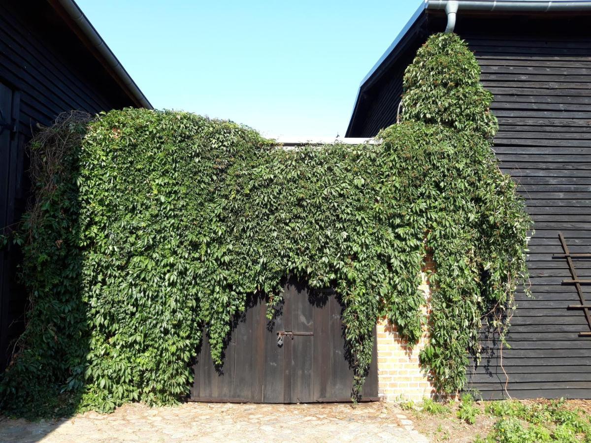 Ein Bett Im Kornfeld - Haus Morgensonne - Mit Innenpool Schonfeld  Extérieur photo