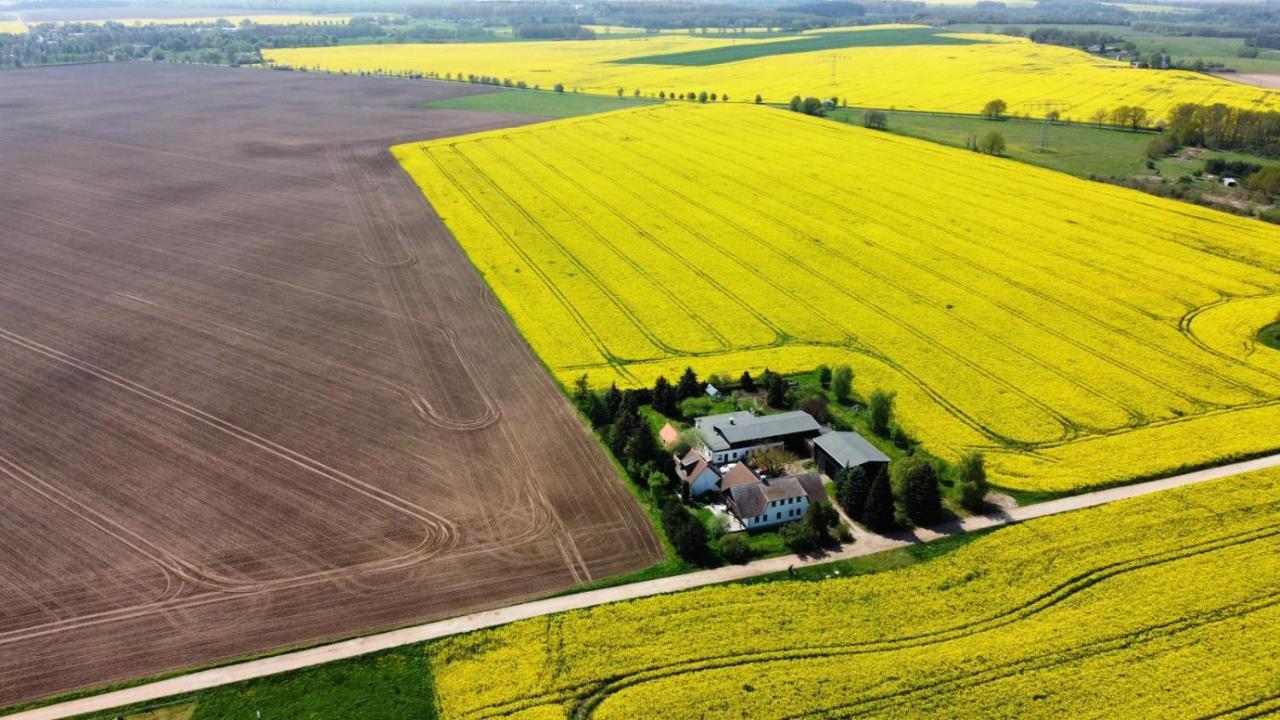 Ein Bett Im Kornfeld - Haus Morgensonne - Mit Innenpool Schonfeld  Extérieur photo