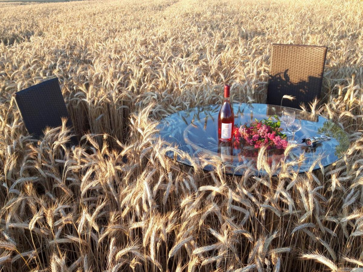 Ein Bett Im Kornfeld - Haus Morgensonne - Mit Innenpool Schonfeld  Extérieur photo